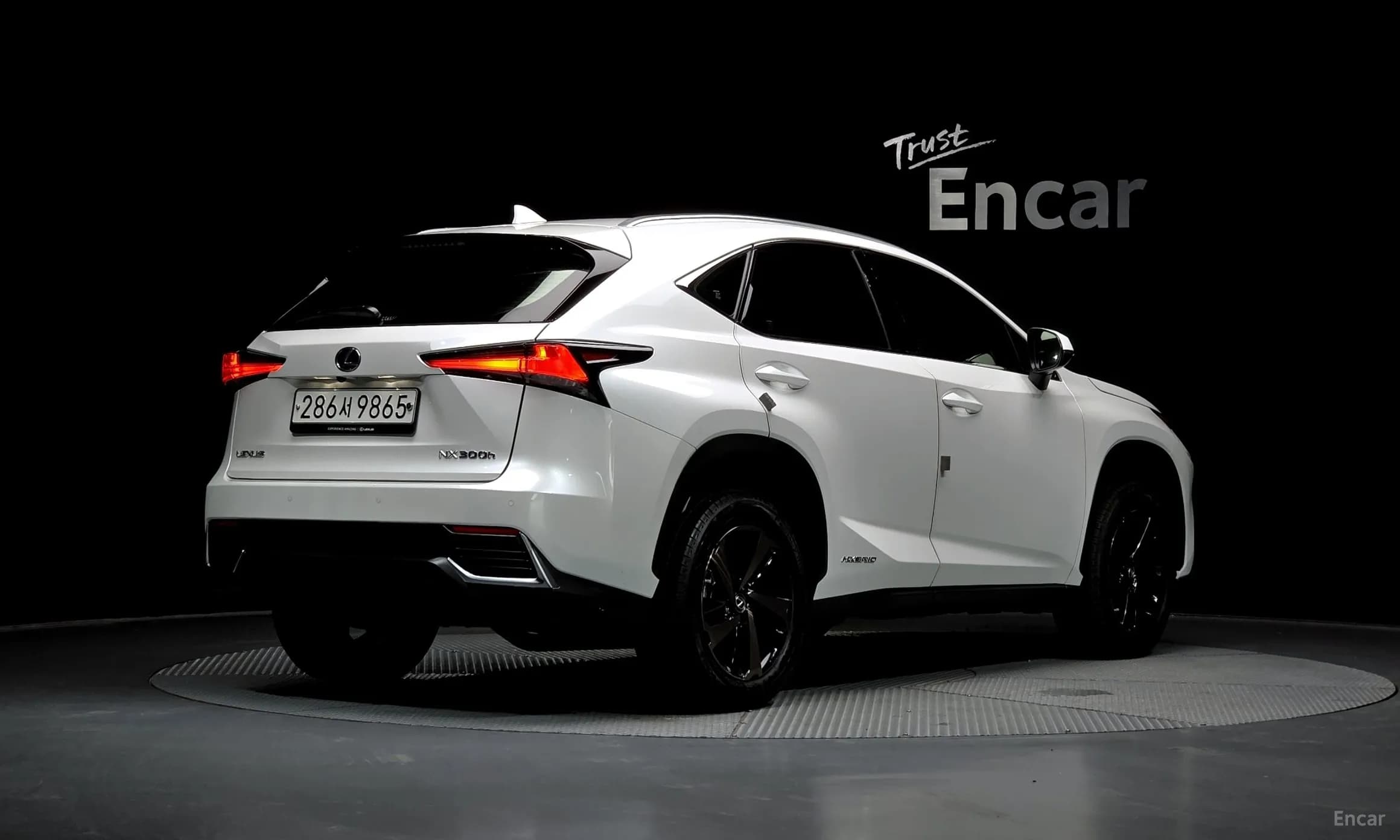 NX300h