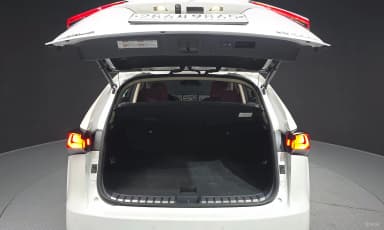 NX300h