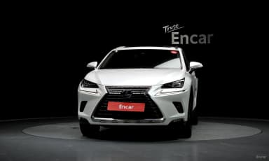 NX300h
