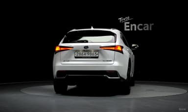 NX300h