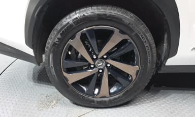 NX300h