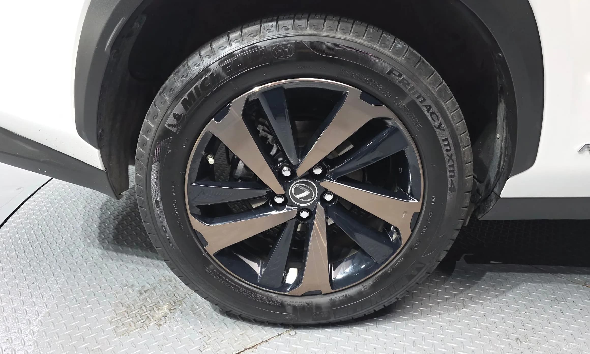NX300h