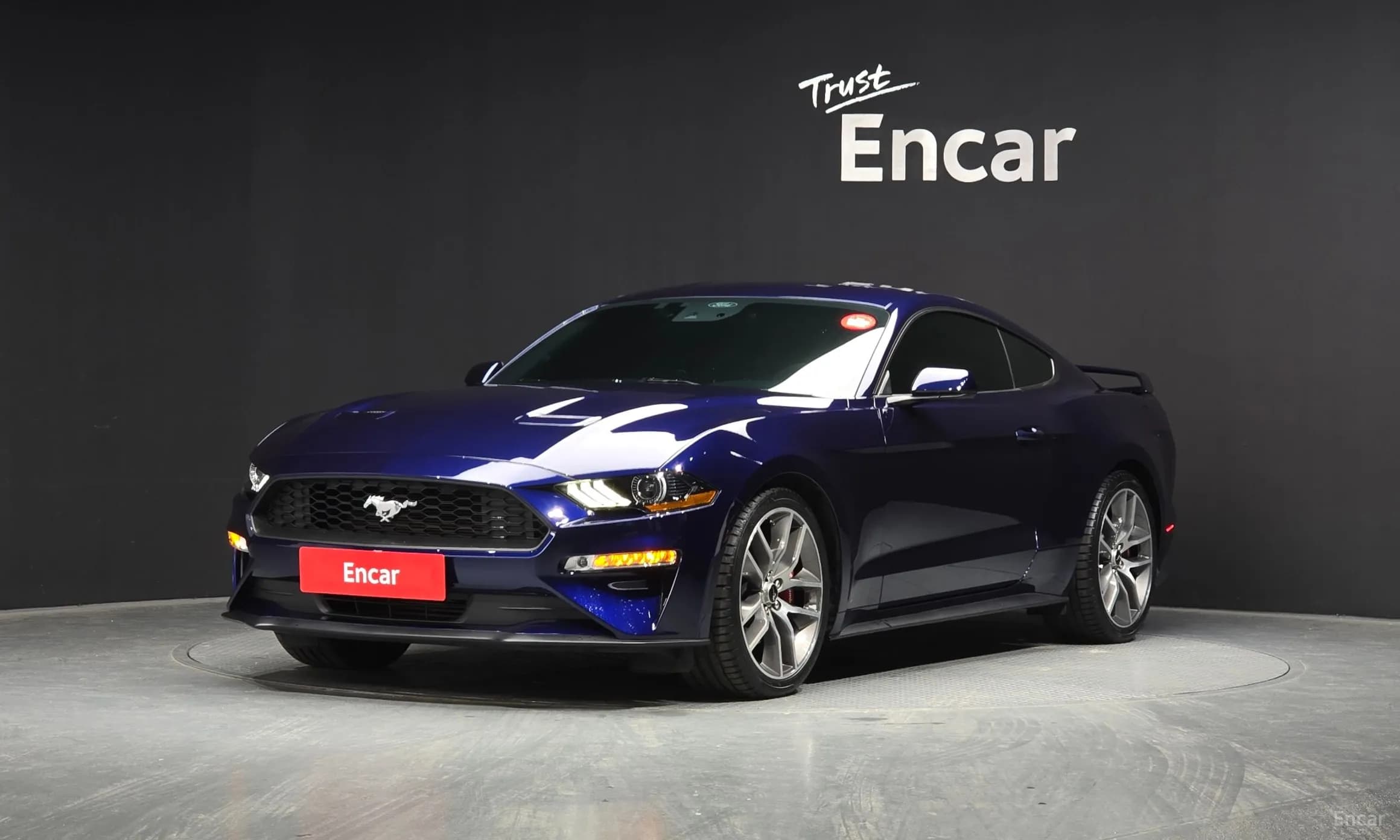 Mustang
