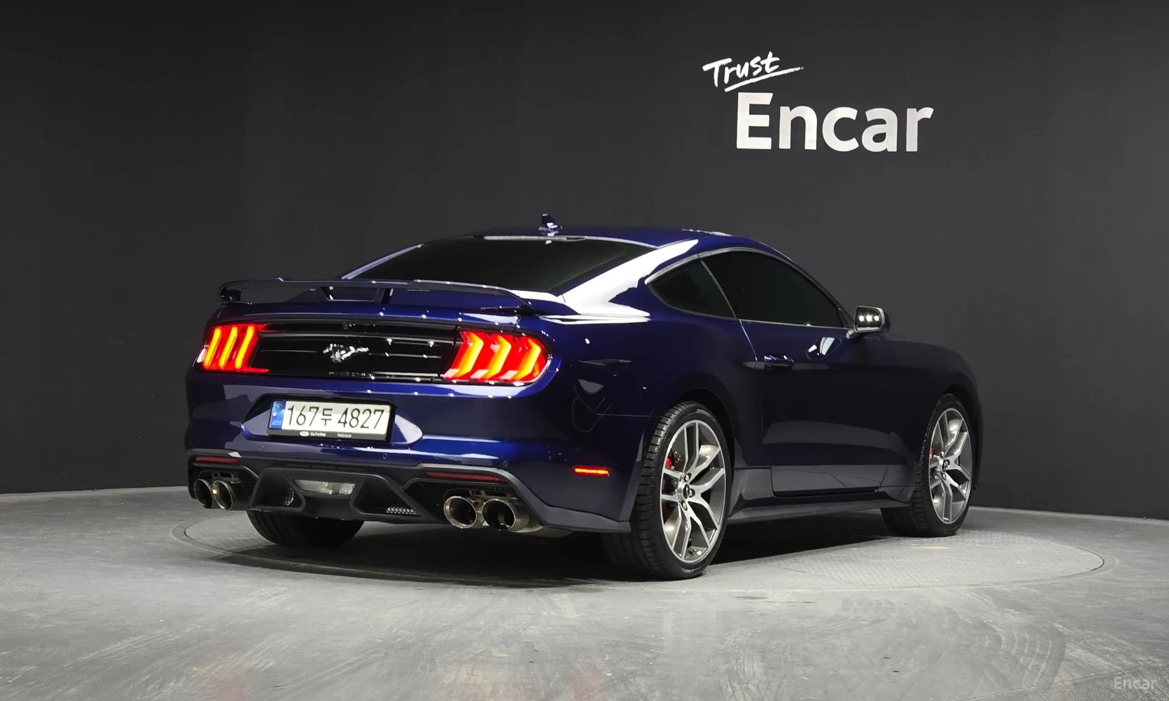 Mustang
