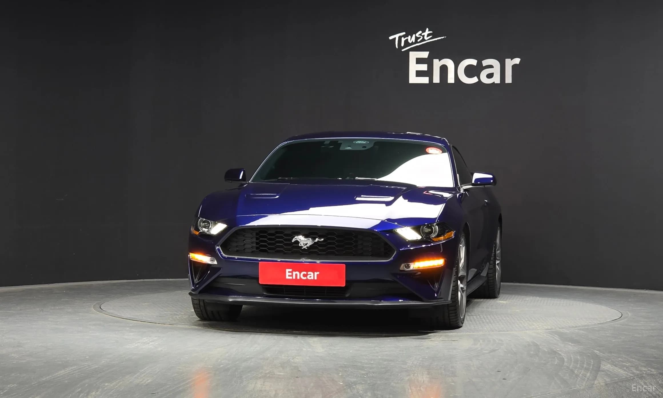 Mustang