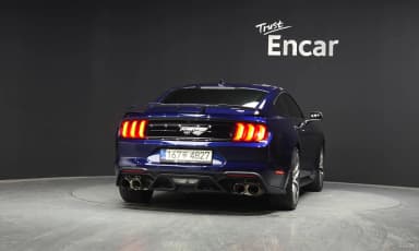 Mustang