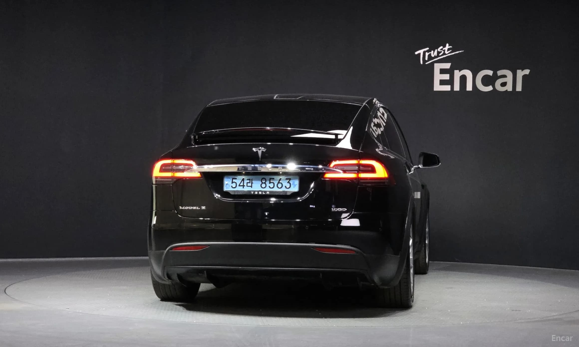 Model X