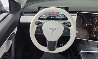 Model Y