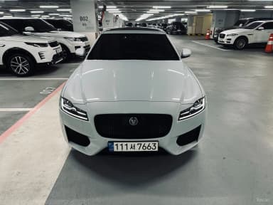 XF (x260)