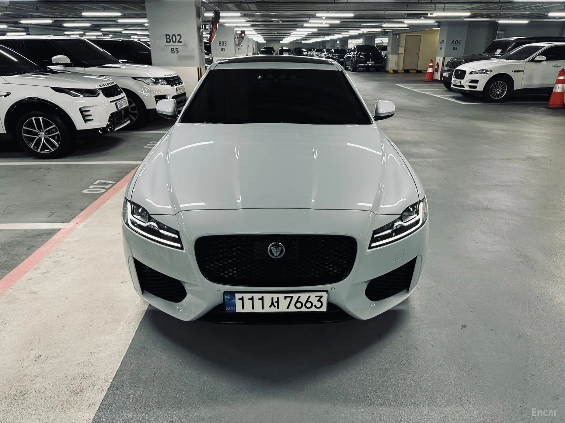 XF (x260)