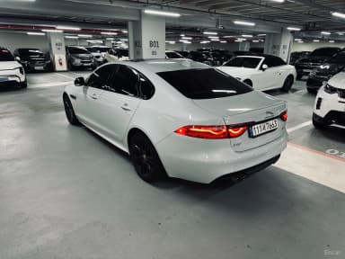 XF (x260)