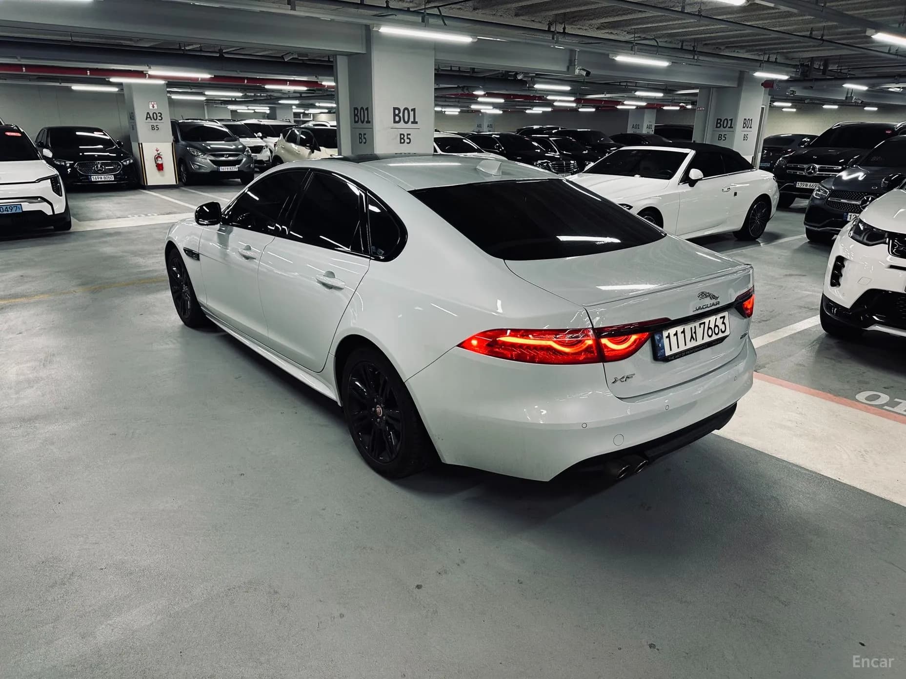 XF (x260)