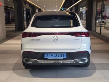 EQE SUV X294
