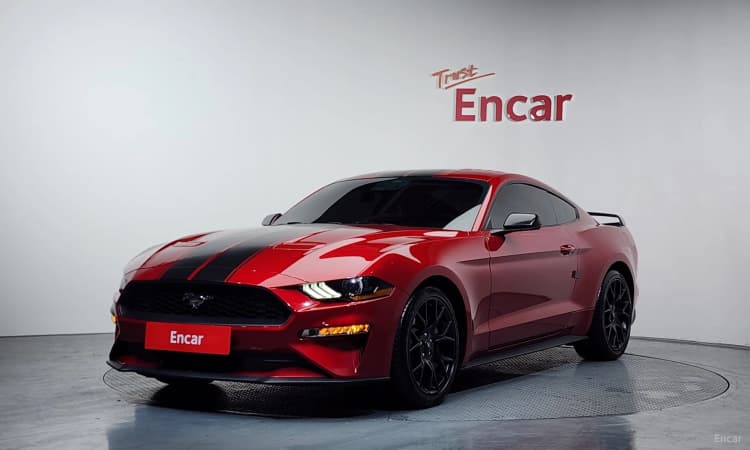 Mustang