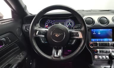 Mustang