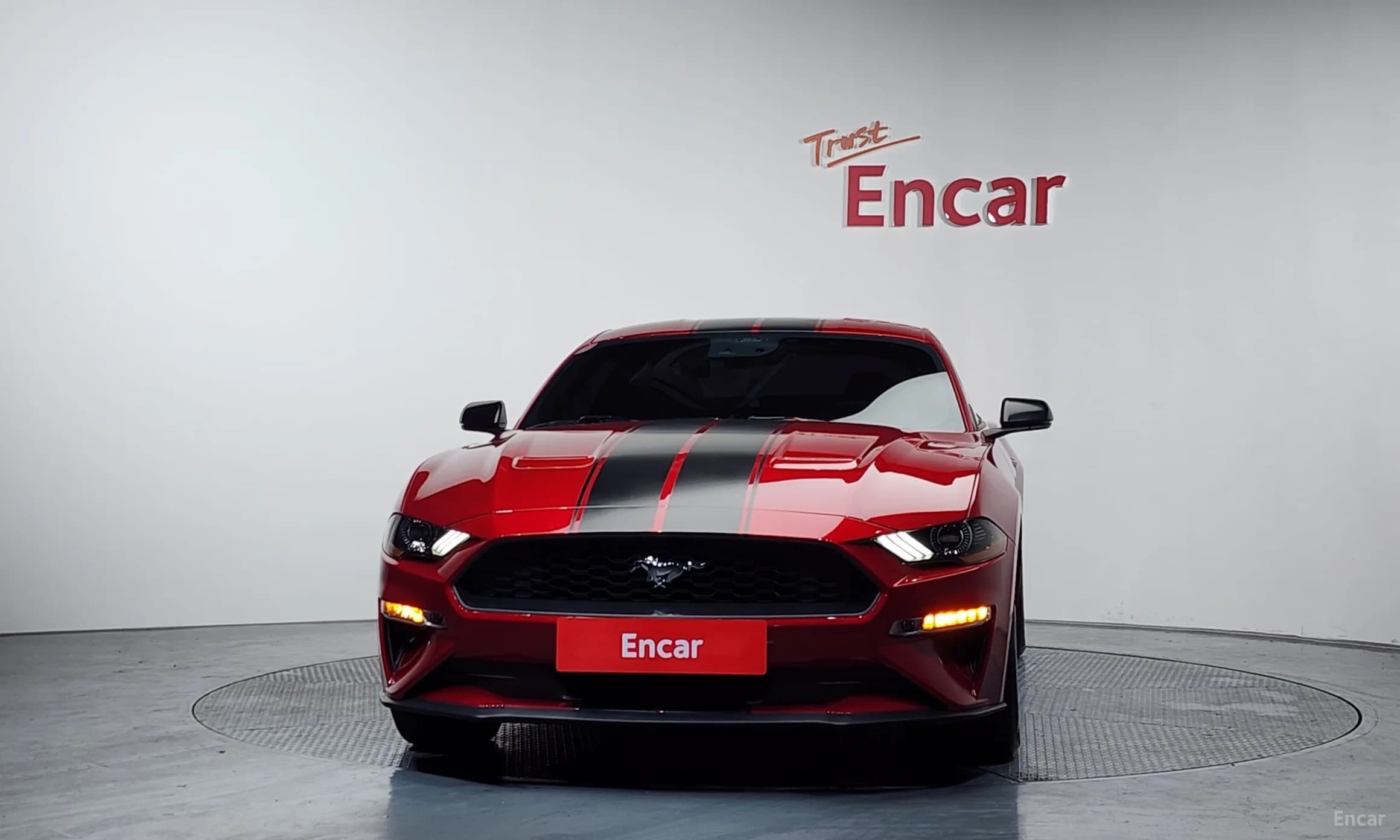 Mustang