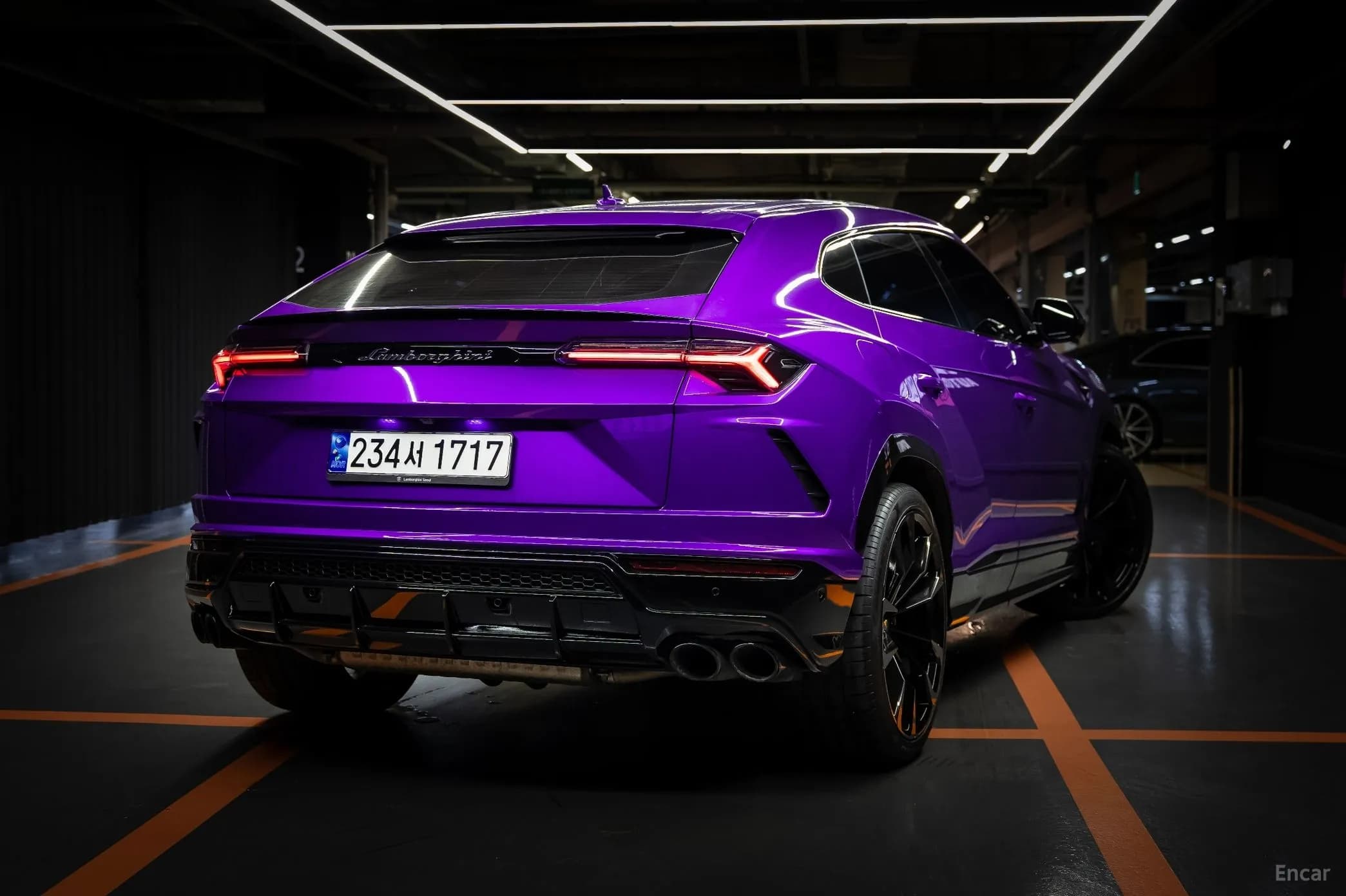 Urus