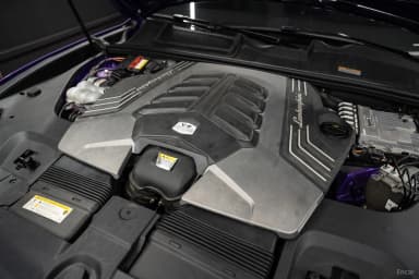 Urus