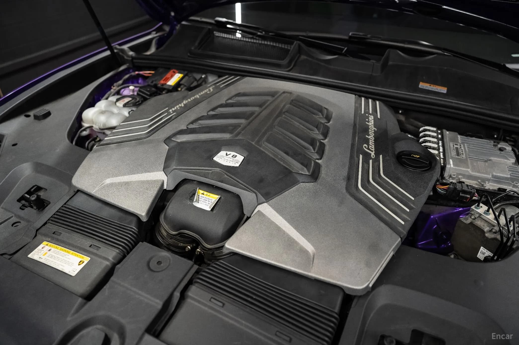 Urus