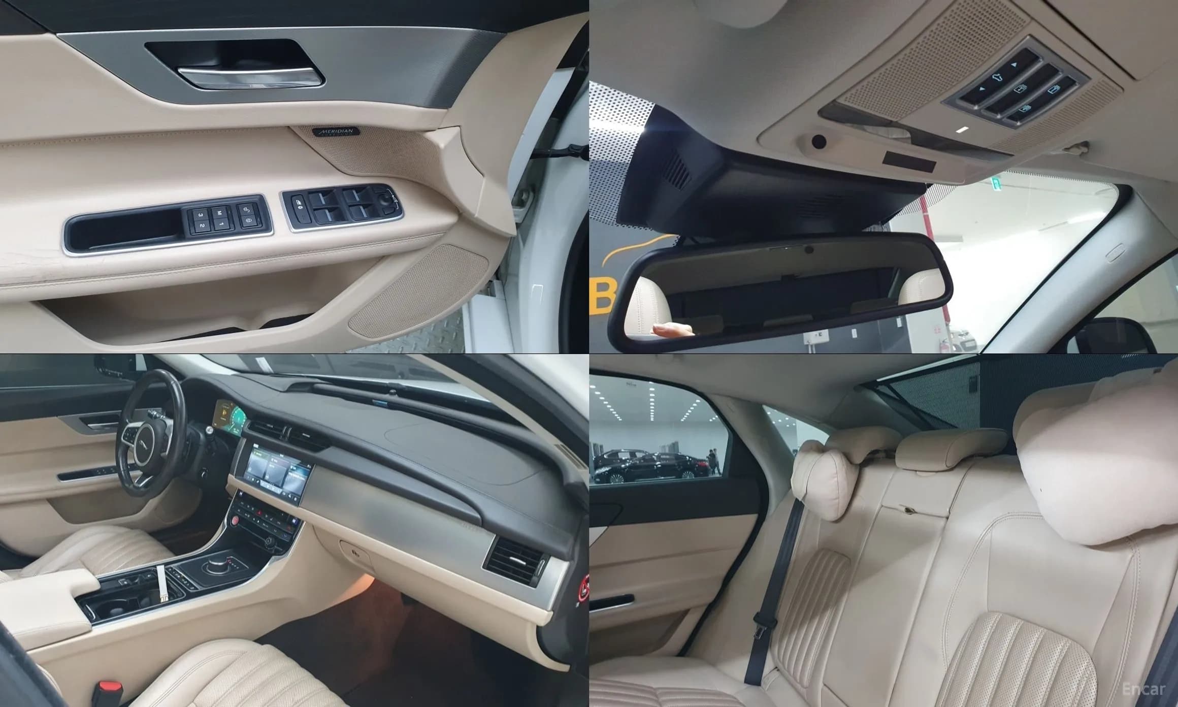 XF (x260)