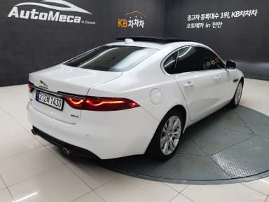 XF (x260)