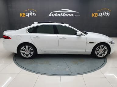XF (x260)