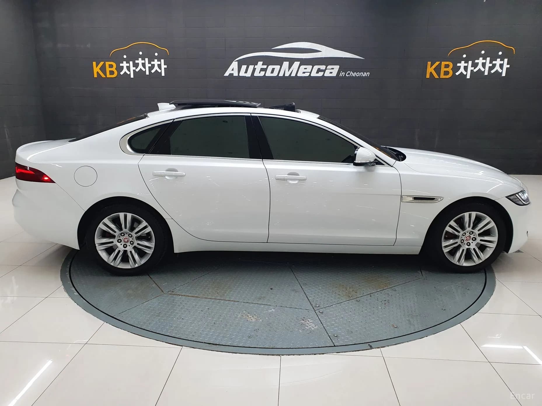 XF (x260)