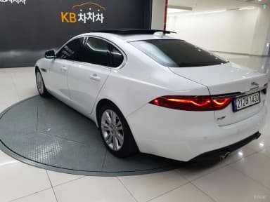 XF (x260)