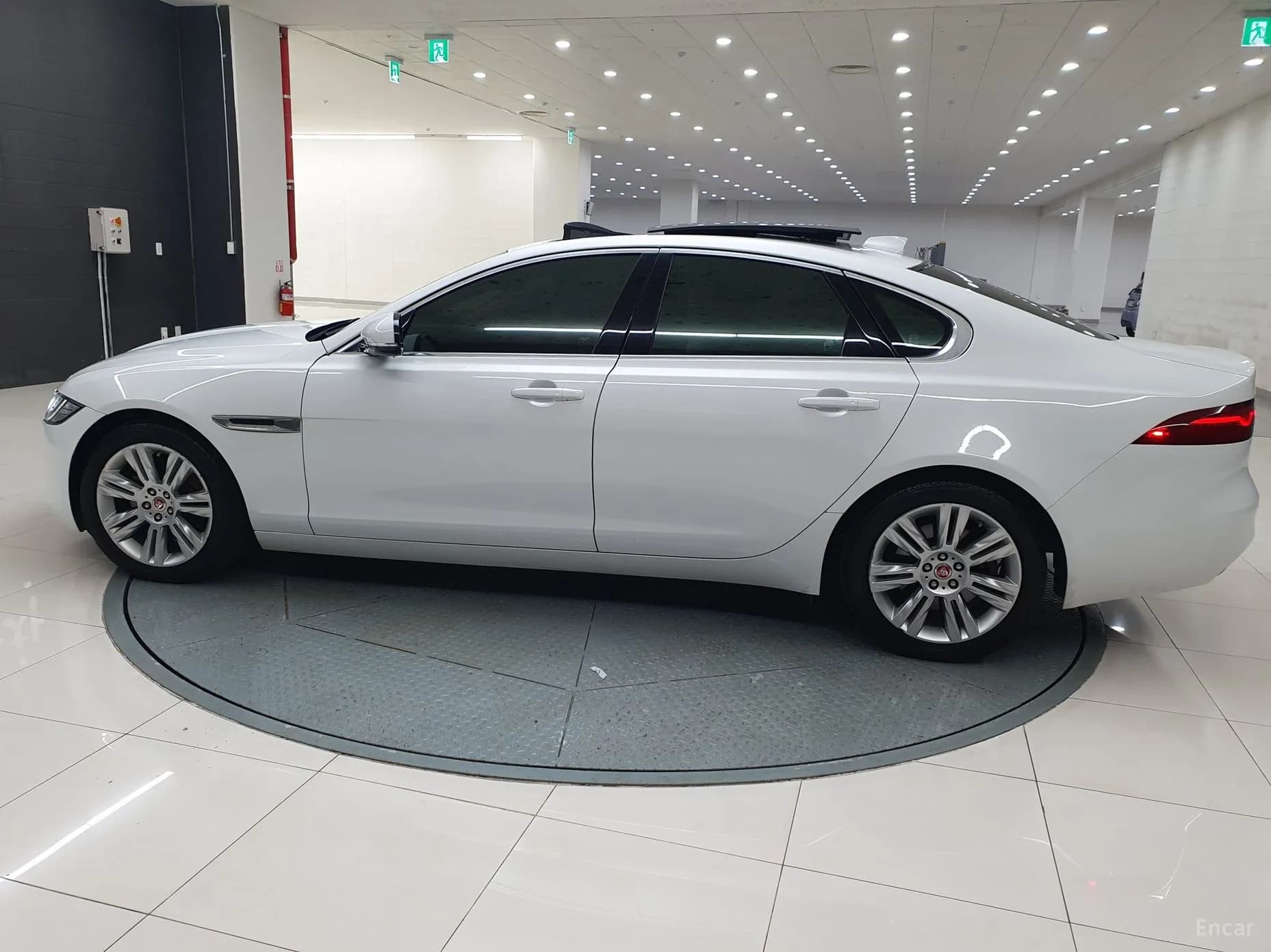 XF (x260)