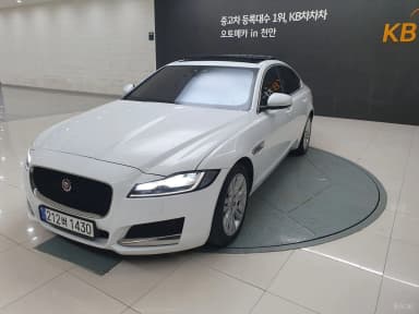 XF (x260)