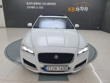XF (x260)