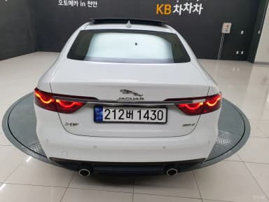 XF (x260)