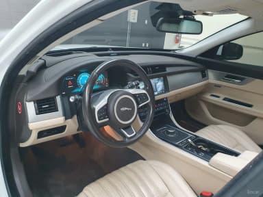 XF (x260)