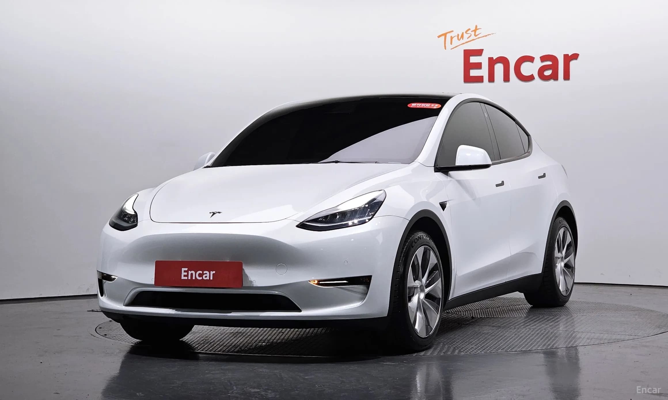 Model Y