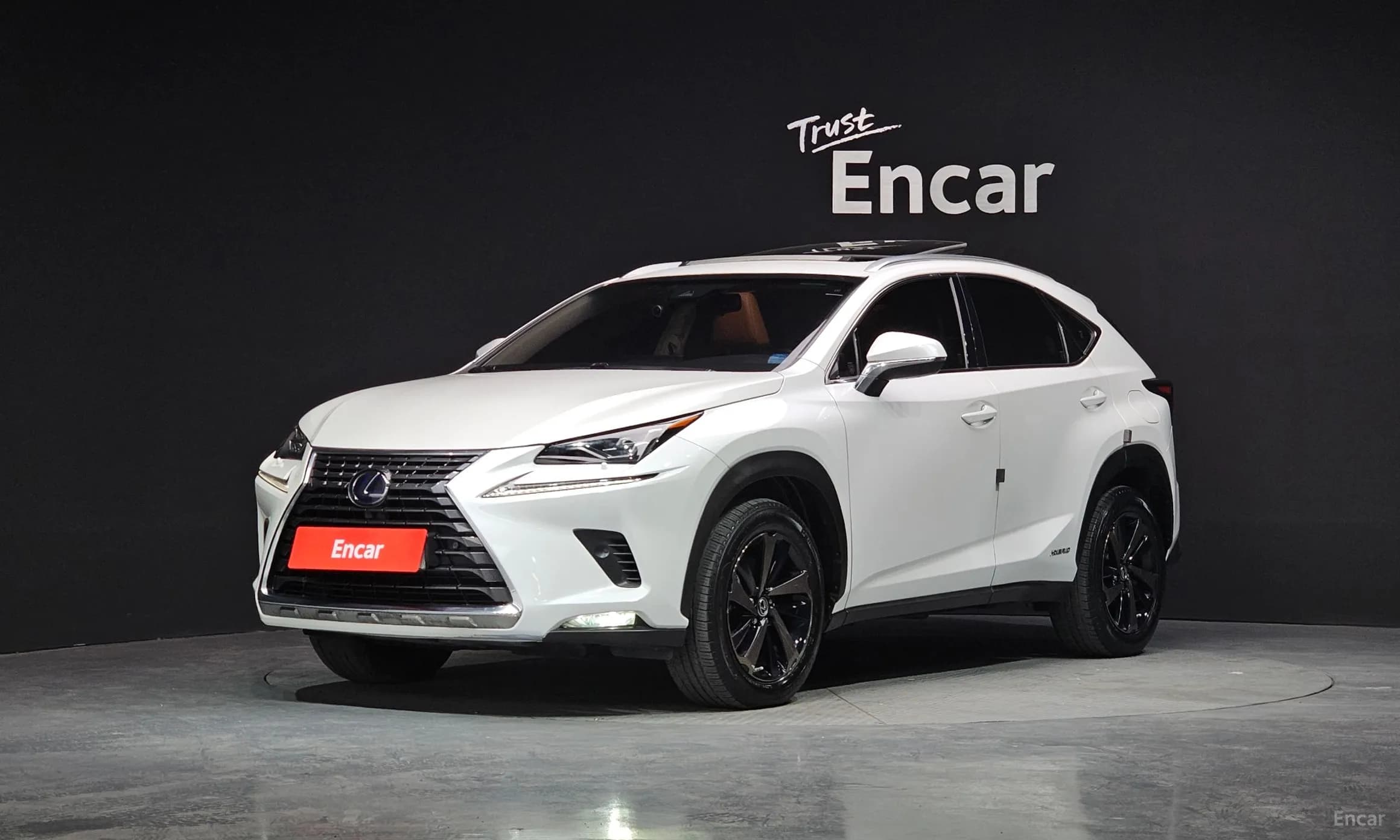 NX300h