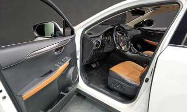 NX300h