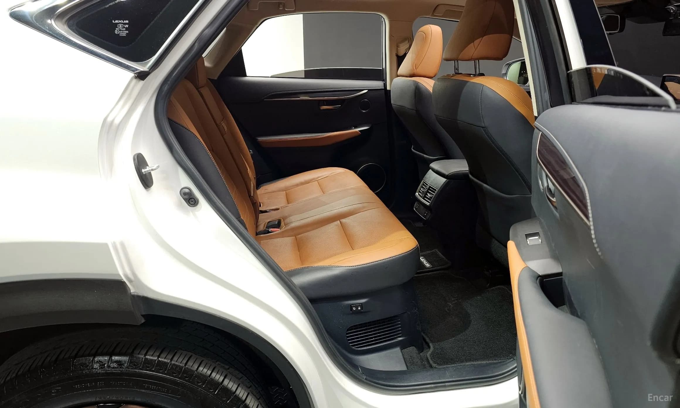 NX300h