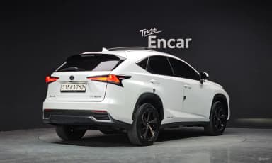 NX300h