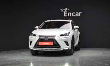 NX300h