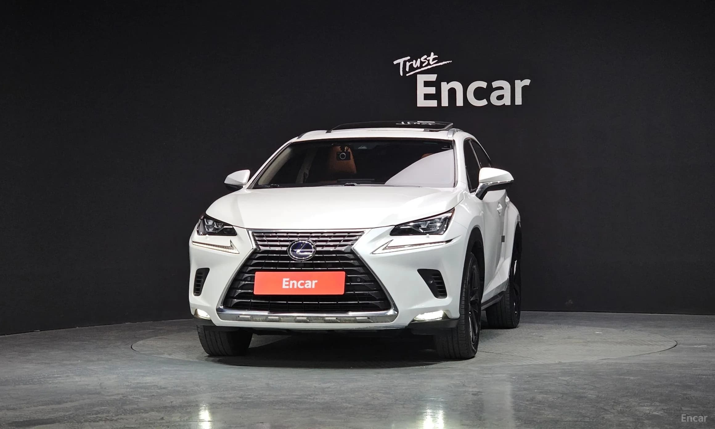NX300h