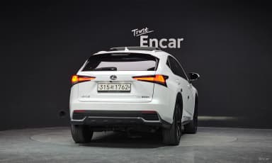 NX300h