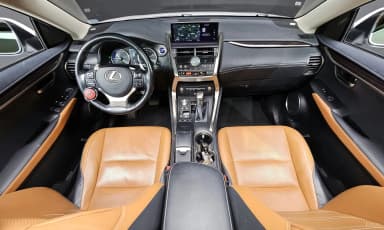 NX300h