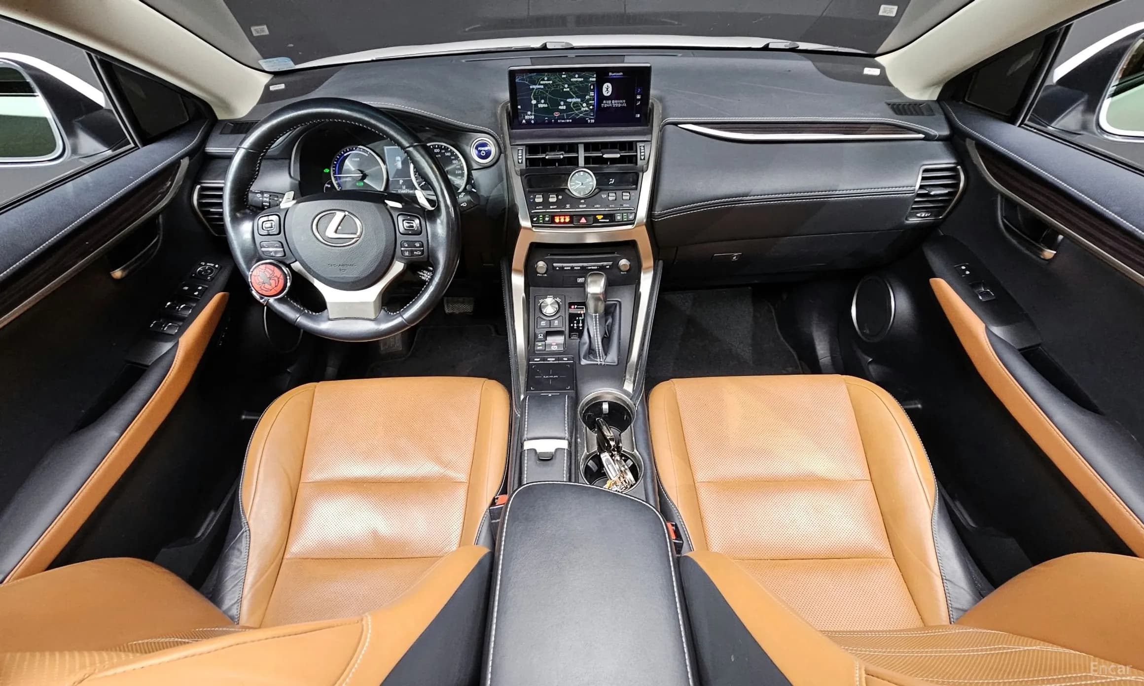 NX300h