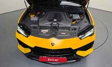 Urus