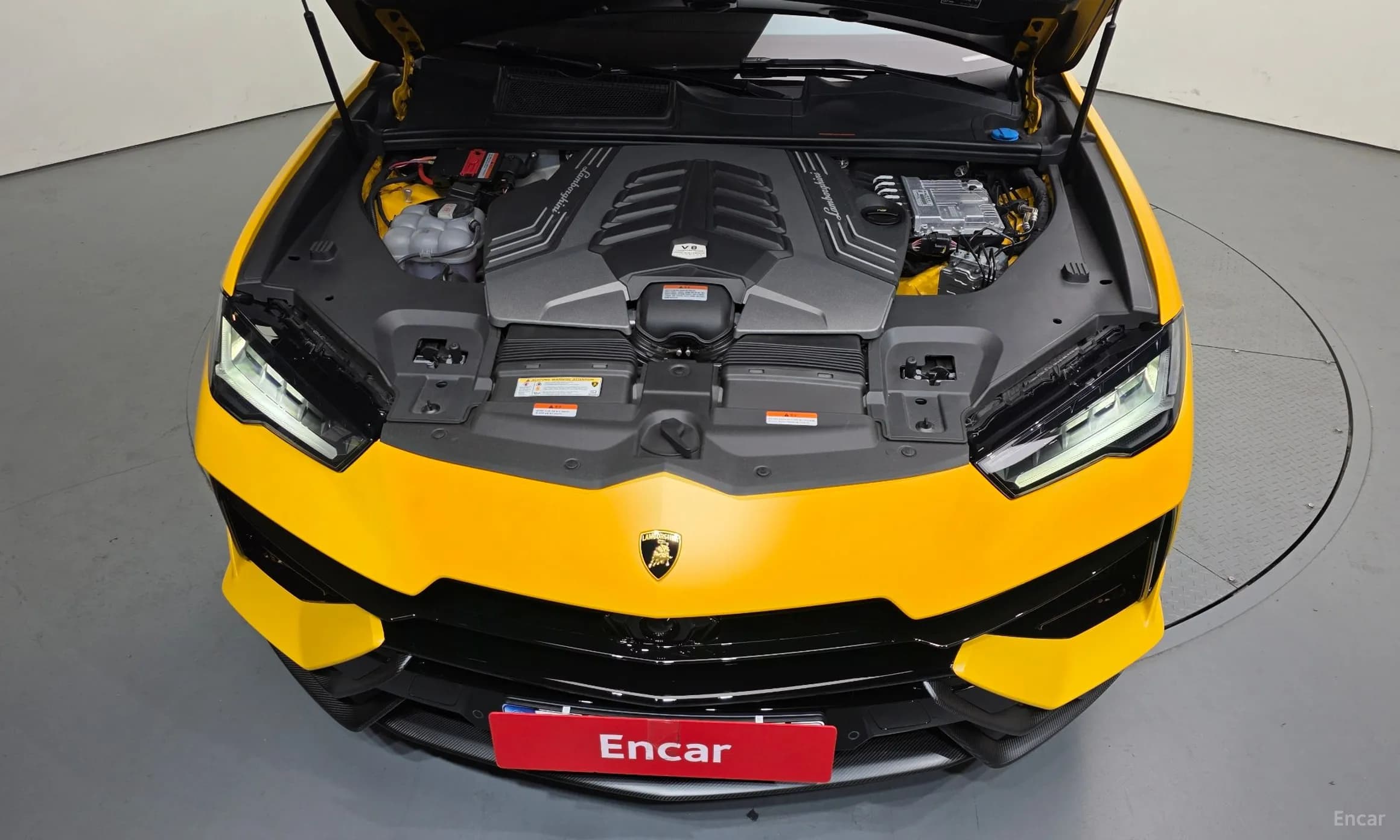 Urus