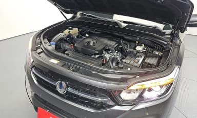 Rexton Sports