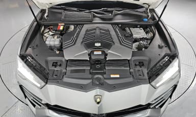 Urus