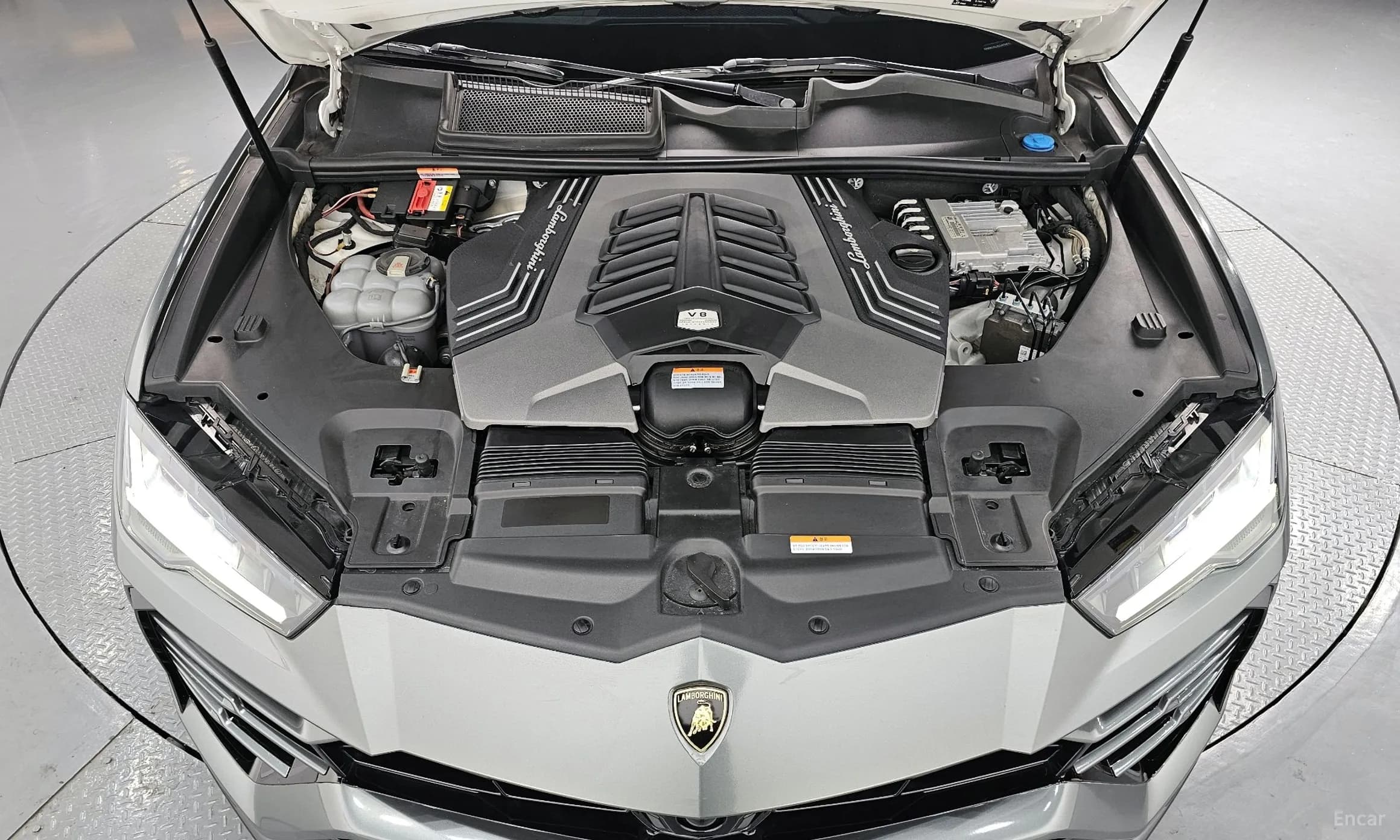Urus