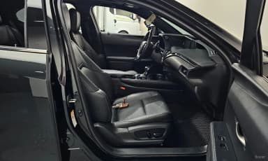 UX250h