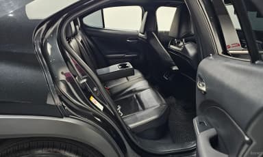 UX250h